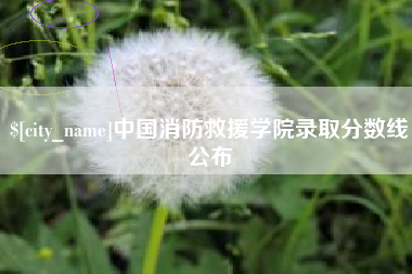 明港中国消防救援学院录取分数线公布
