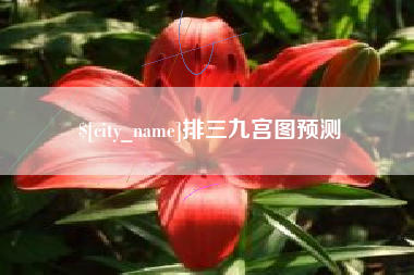 明港排三九宫图预测