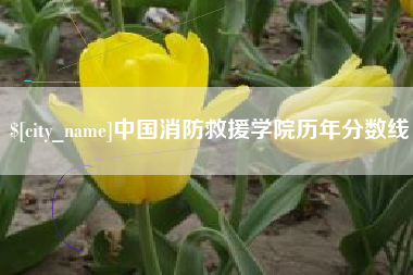 明港中国消防救援学院历年分数线