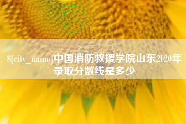 明港中国消防救援学院山东2020年录取分数线是多少