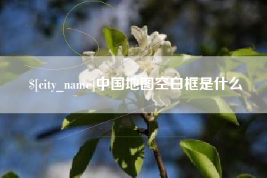 明港中国地图空白框是什么
