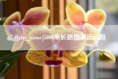 明港5000米长跑国家运动员