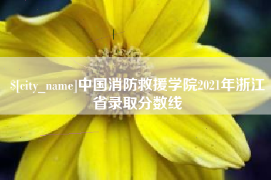 明港中国消防救援学院2021年浙江省录取分数线