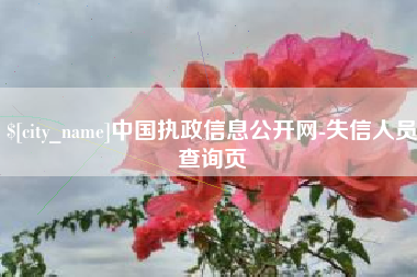 明港中国执政信息公开网-失信人员查询页