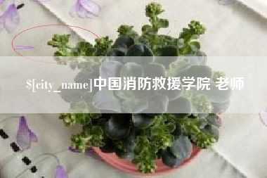 明港中国消防救援学院 老师