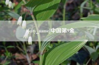 明港中国第9金