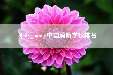 明港中国消防学校排名