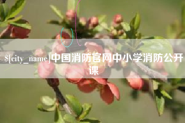 明港中国消防官网中小学消防公开课
