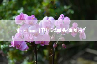 明港中国冠军头像图片