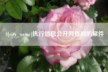 明港执行信息公开网查到的案件