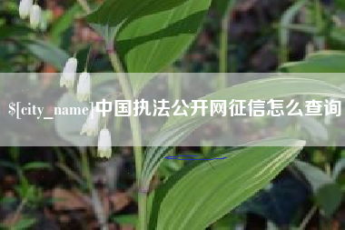 明港中国执法公开网征信怎么查询