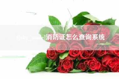 明港消防证怎么查询系统