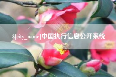 明港中国执行信息公开系统