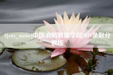 明港中国消防救援学院2019录取分数线
