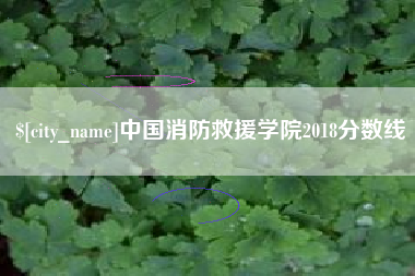 明港中国消防救援学院2018分数线
