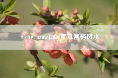 明港2021年九宫格风水