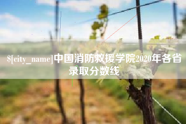 明港中国消防救援学院2020年各省录取分数线