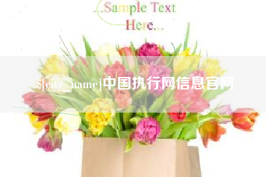 明港中国执行网信息官网