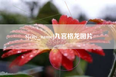 明港九宫格龙图片