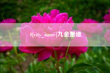 明港九金是谁
