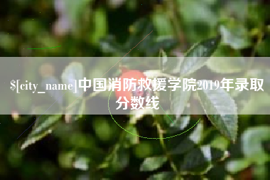 明港中国消防救援学院2019年录取分数线