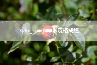 明港5000米及格成绩