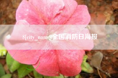 明港全国消防日海报