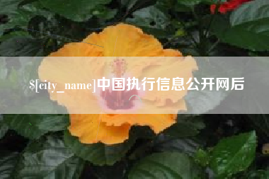 明港中国执行信息公开网后