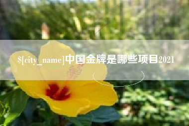明港中国金牌是哪些项目2021
