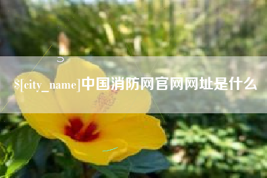 明港中国消防网官网网址是什么