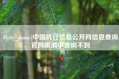 明港中国执行信息公开网信息查询官网限消中查询不到