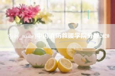 明港中国消防救援学院分数2020