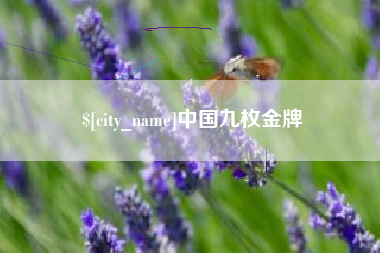 明港中国九枚金牌