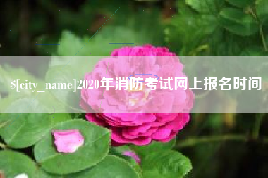 明港2020年消防考试网上报名时间