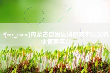 明港内蒙古自治区消防技术服务执业管理平台