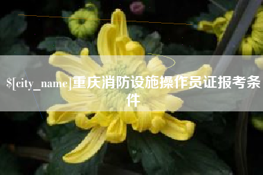 明港重庆消防设施操作员证报考条件