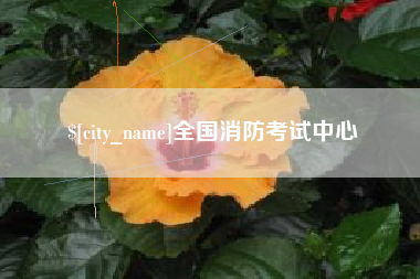 明港全国消防考试中心