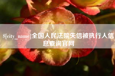 明港全国人民法院失信被执行人信息查询官网