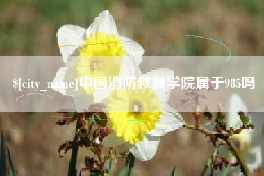 明港中国消防救援学院属于985吗