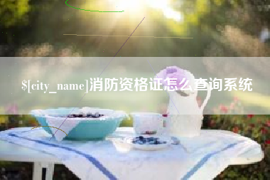 明港消防资格证怎么查询系统