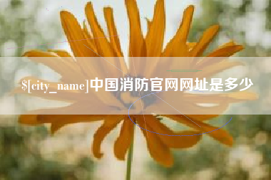 明港中国消防官网网址是多少