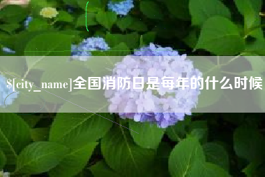 明港全国消防日是每年的什么时候