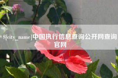 明港中国执行信息查询公开网查询官网