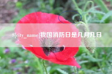 明港我国消防日是几月几日