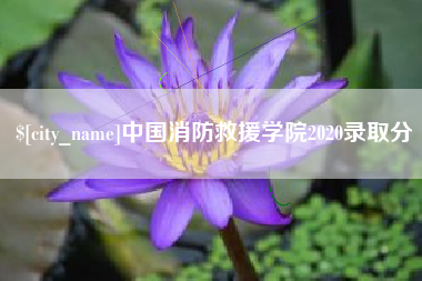 明港中国消防救援学院2020录取分