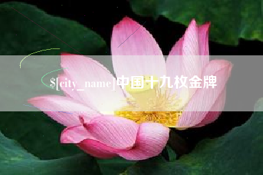 明港中国十九枚金牌