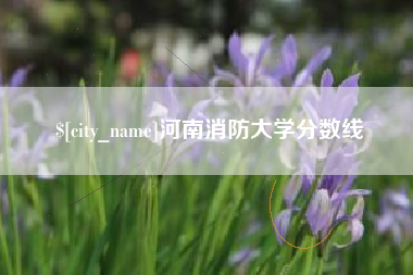 明港河南消防大学分数线