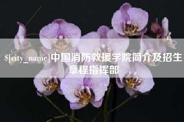 明港中国消防救援学院简介及招生章程指挥部