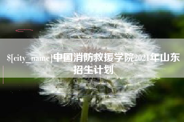 明港中国消防救援学院2021年山东招生计划