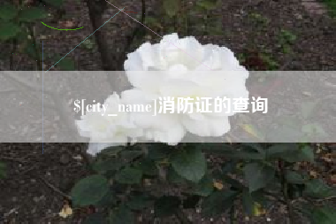 明港消防证的查询